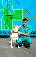 Кваліфікована ветеринарна допомога в м. Баранівка.