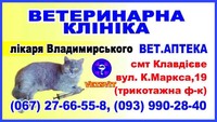 Ветеринарна Клініка Vetsvit