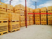 ФОП «Кожушко Х. С.» - виготовлення ящиків, контейнерів та піддонів з дерева