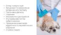 Ветеринарна допомога на дому