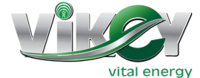 Косметологический  центр «Vikey»  логотип