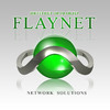 Flaynet интернет провайдер логотип