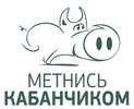"Метнись Кабанчиком" - онлайн-сервис заказа услуг