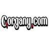 Филиал сети магазинов «Gorgany.com» в Киеве логотип