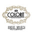 Професійна студія COLORIT логотип