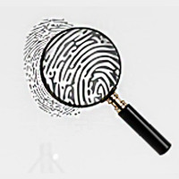 «Частный детектив Николаев» - услуги частного сыска логотип