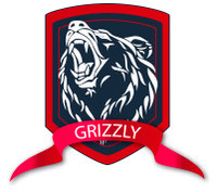 Grizzly - Алмазное оборудование, дрели, коронки логотип