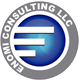 Еномі Консалтинг ТОВ - консалтингова підтримка й аутсорсинг бізнес-процесів компаній логотип