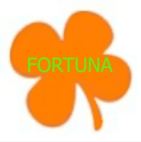 Магазин "Фортуна" - посуда и хозяйственные товары