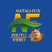 Фото і відеопослуги логотип